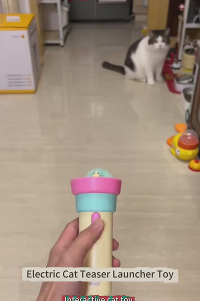 Video 2