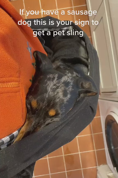 Video 1