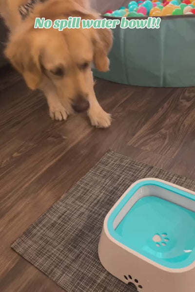Video 4