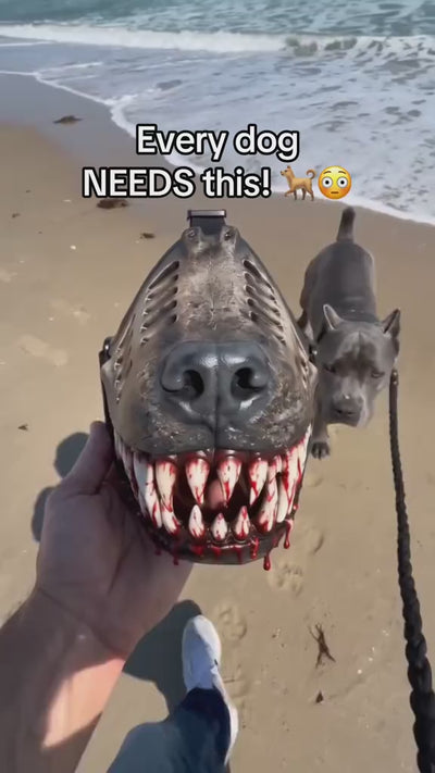 Dog Mask Halloween