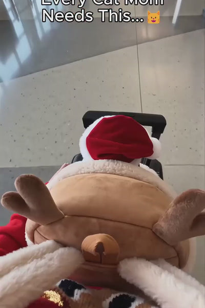 Video 1