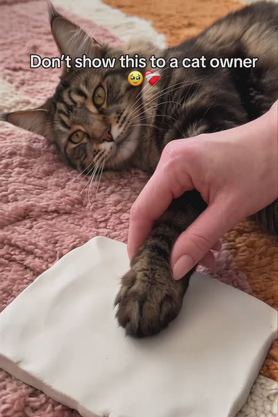 Video 3