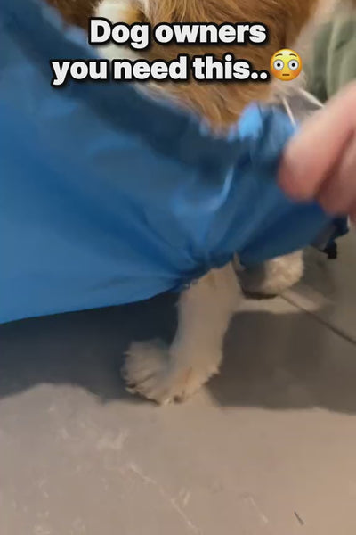 Video 2