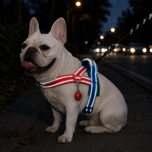 Komavic No-Choke French Bulldog Harness & Leash Set
