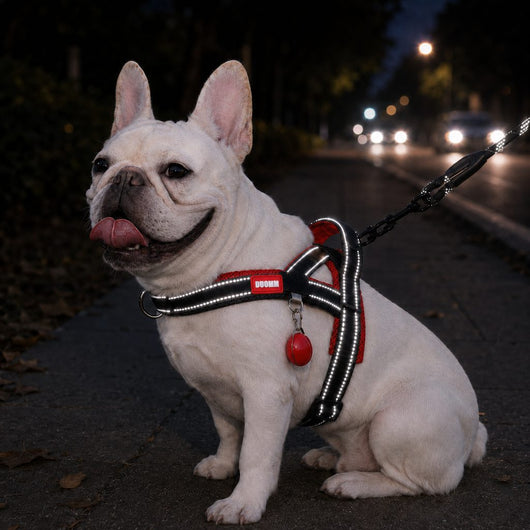 Komavic No-Choke French Bulldog Harness & Leash Set