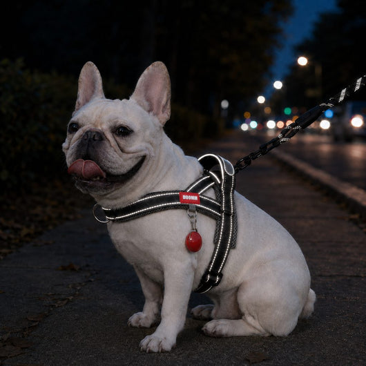 Komavic No-Choke French Bulldog Harness & Leash Set