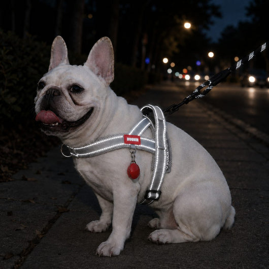 Komavic No-Choke French Bulldog Harness & Leash Set