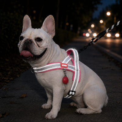 Komavic No-Choke French Bulldog Harness & Leash Set