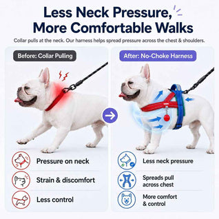 Komavic No-Choke French Bulldog Harness & Leash Set