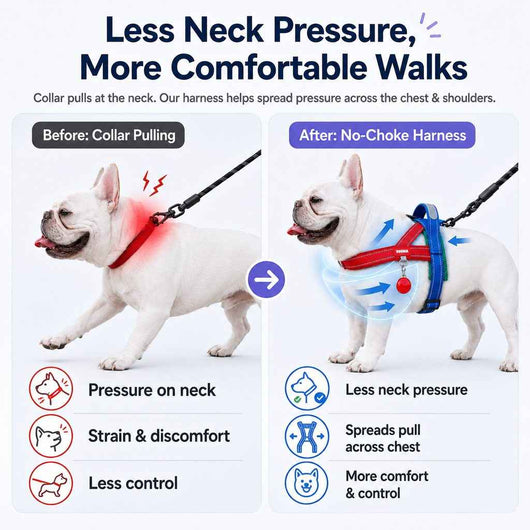 Paws in Awe No-Choke French Bulldog Harness & Leash Set for Daily Walks - Reflective, Easy-Control Fit for Broad-Chest Dogs