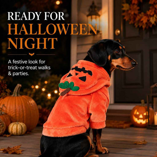 Paws in Awe Halloween Dog & Cat Costume Hoodie – One-Piece Spooky Outfit for Parties, Photos & Fall Fun