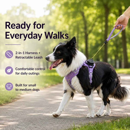 Paws in Awe 2-in-1 Retractable Dog Harness for Daily Walks - Built-In Leash Vest with Auto-Stop Control for Small & Medium Dogs