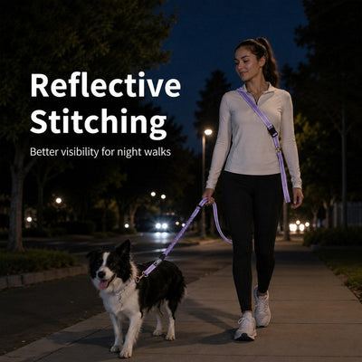 Hands-Free Shock-Absorbing Dog Leash for Running, Walking & Car Travel - Bungee Leash Helps Reduce Pulling
