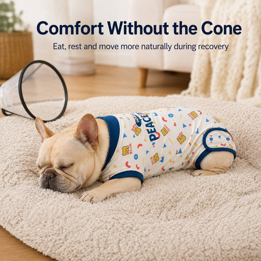 Komavic Dog Recovery Suit Soft Cone Alternative