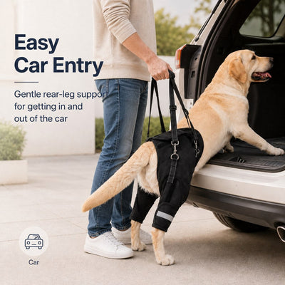 Komavic Help Your Senior Dog Climb Stairs, Get in the Car & Walk with Rear-Leg Support