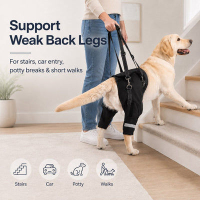 Komavic Help Your Senior Dog Climb Stairs, Get in the Car & Walk with Rear-Leg Support