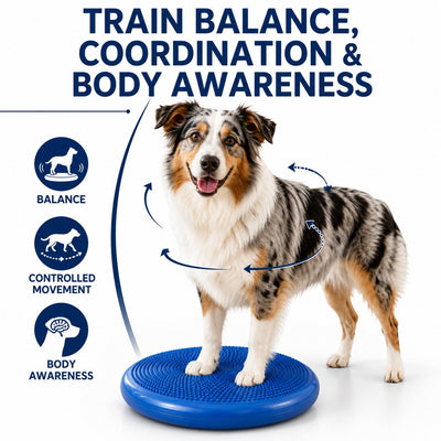 Komavic Dog Balance Disc At-Home Coordination Training
