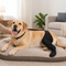 Adjustable Dog Rear Leg Recovery Sleeve with Paw Cover