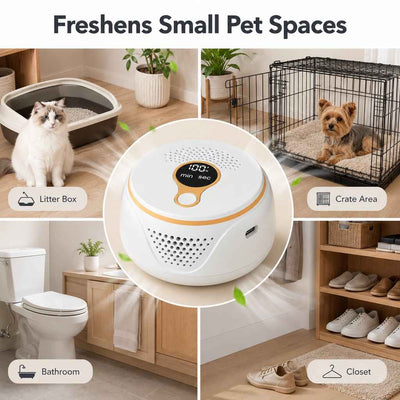 Paws in Awe Rechargeable Pet Odor Deodorizer for Dog Crates & Litter Box Areas - USB-C Odor Control Helper for Pet Cages, Bathrooms & Small Spaces
