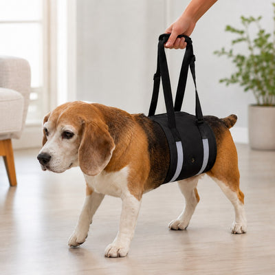Dog Lift Support Sling