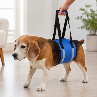 Dog Lift Support Sling