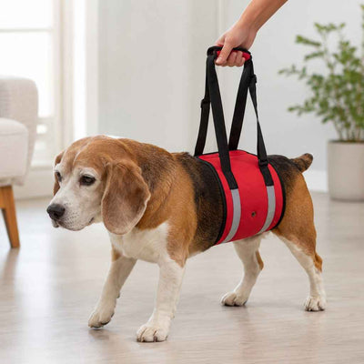 Paws in Awe Reflective Dog Lift Support Sling - Belly Assist for Dogs with Limited Mobility on Stairs, Walks & Car Entry