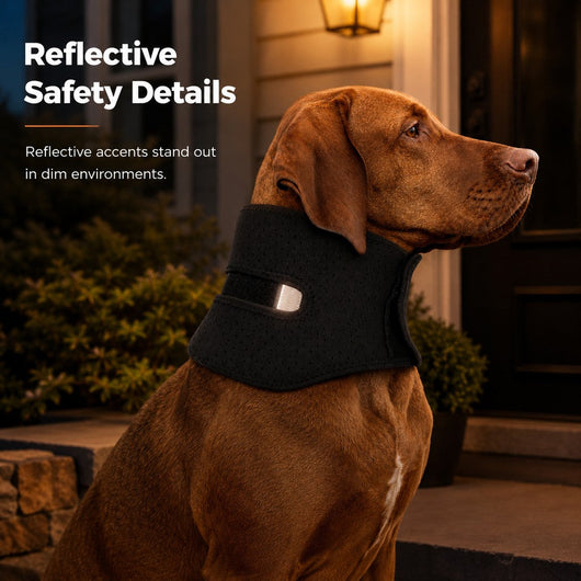 Komavic Adjustable Dog Neck Support Brace