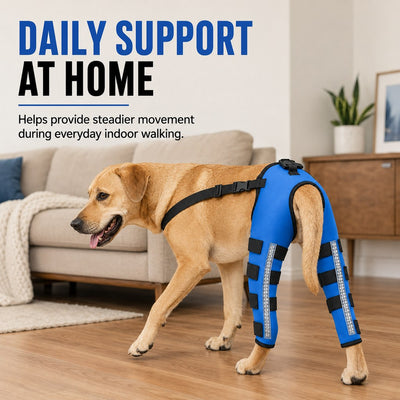 Komavic Reflective Dog Rear Leg Support Brace for Evening Walks