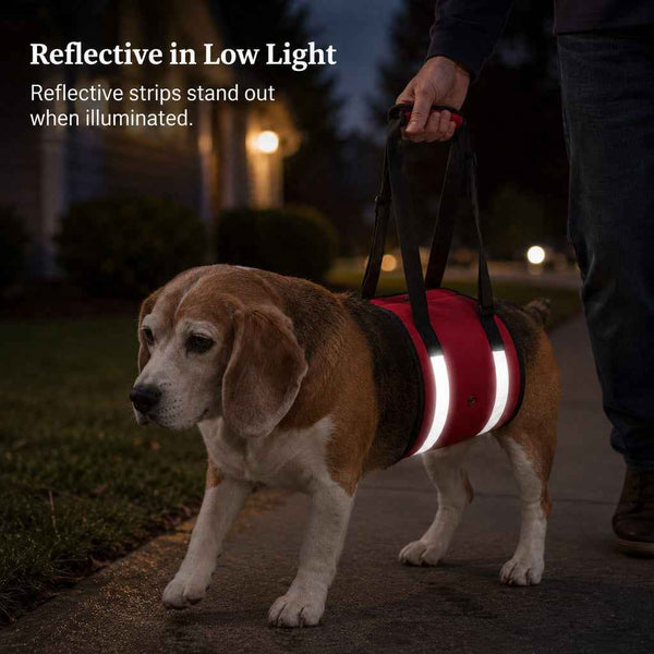 Paws in Awe Reflective Dog Lift Support Sling - Belly Assist for Dogs with Limited Mobility on Stairs, Walks & Car Entry