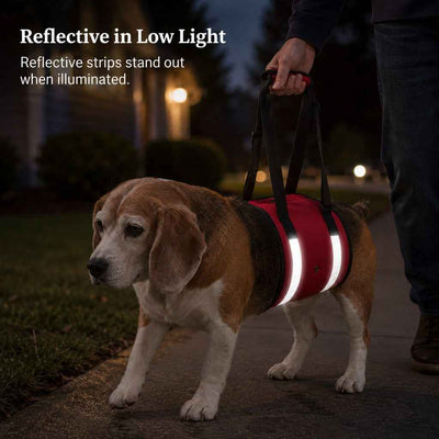 Paws in Awe Reflective Dog Lift Support Sling - Belly Assist for Dogs with Limited Mobility on Stairs, Walks & Car Entry