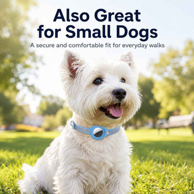 Paws in Awe AirTag-Compatible Reflective Pet Tracking Collar for Cats & Small Dogs - Secure Holder for Outdoor Adventures & Night Visibility