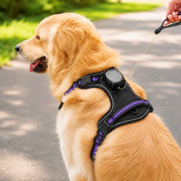 Paws in Awe 2-in-1 Reflective Dog Harness with Built-In Retractable Leash for Daily Walks - Close Control for Pulling Dogs
