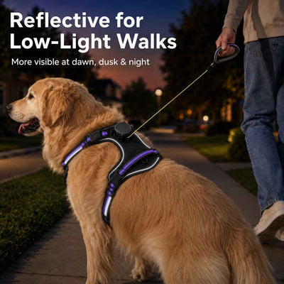 Paws in Awe 2-in-1 Reflective Dog Harness with Built-In Retractable Leash for Daily Walks - Close Control for Pulling Dogs