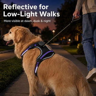 Komavic 2-in-1 Retractable Dog Harness