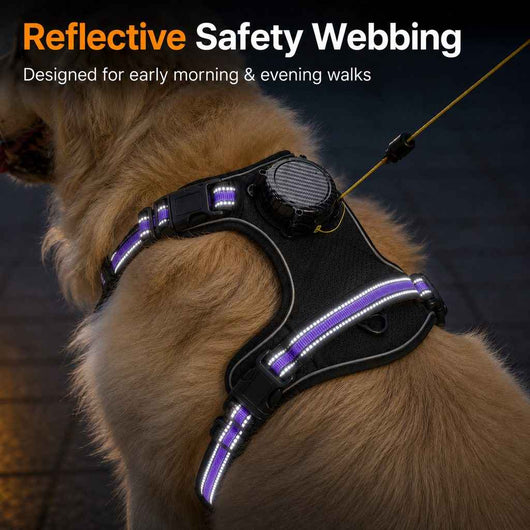 Paws in Awe 2-in-1 Reflective Dog Harness with Built-In Retractable Leash for Daily Walks - Close Control for Pulling Dogs