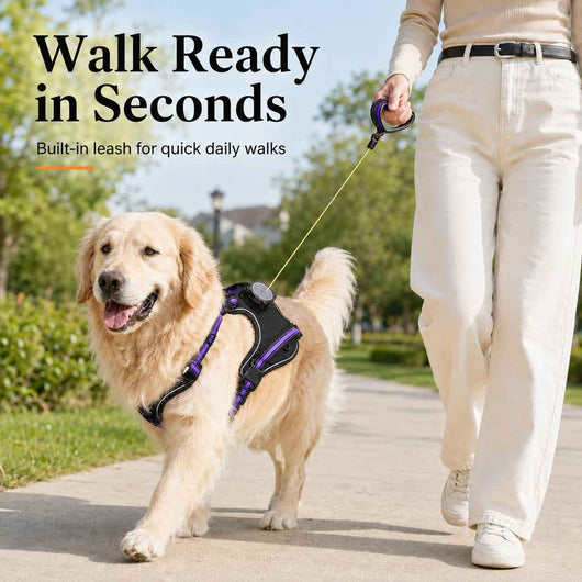 Paws in Awe 2-in-1 Reflective Dog Harness with Built-In Retractable Leash for Daily Walks - Close Control for Pulling Dogs