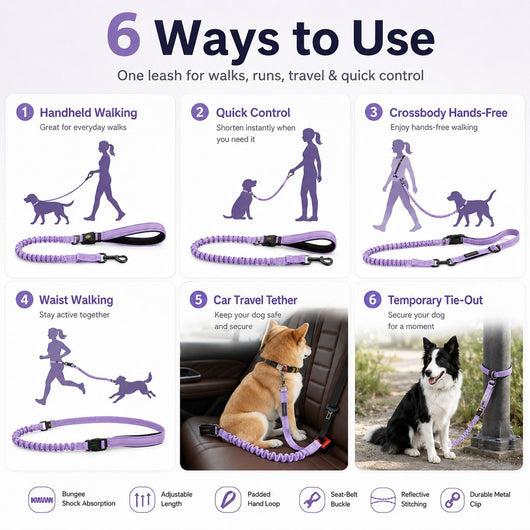 Hands-Free Shock-Absorbing Dog Leash for Running, Walking & Car Travel - Bungee Leash Helps Reduce Pulling