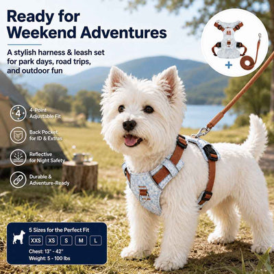 Paws in Awe Vintage Denim No-Pull Dog Harness &5 ft Rope Leash Set - Soft Adjustable Vest for Everyday Walks, Better Control & Low-Light Visibility