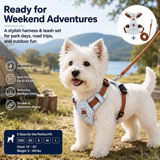 Paws in Awe Vintage Denim No-Pull Dog Harness &5 ft Rope Leash Set - Soft Adjustable Vest for Everyday Walks, Better Control & Low-Light Visibility