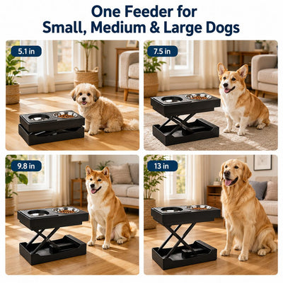 Electric Adjustable Dog Feeding Station with Remote Control