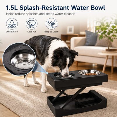 Electric Adjustable Dog Feeding Station with Remote Control