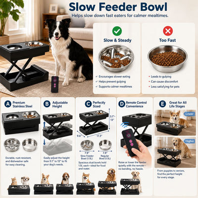 Electric Adjustable Dog Feeding Station with Remote Control