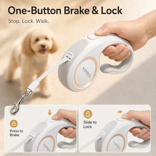 Paws in Awe Retractable Dog Leash for Daily Walks & Park Outings - Tangle-Free 3m/5m Pet Lead with One-Button Brake, Comfort C-Grip & No-Mess Auto-Retract