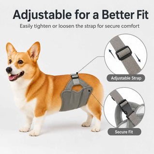 Komavic Female Dog Diaper