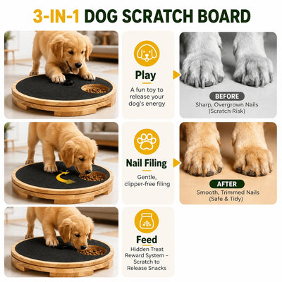 Komavic Interactive Dog Nail Scratch Board with Treat Box