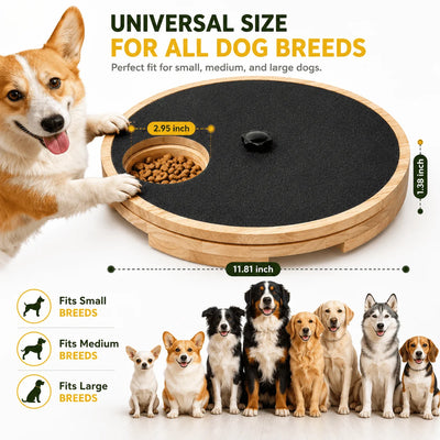 Komavic Interactive Dog Nail Scratch Board with Treat Box