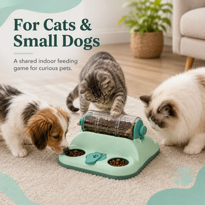 Rotating Puzzle Feeder for Cats & Small Dogs