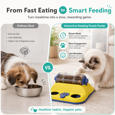 Rotating Puzzle Feeder for Cats & Small Dogs