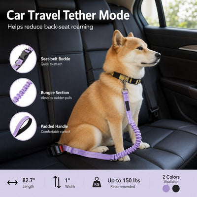 Hands-Free Shock-Absorbing Dog Leash for Running, Walking & Car Travel - Bungee Leash Helps Reduce Pulling