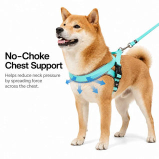 Komavic Quick-Fit Dog Harness & Leash Set